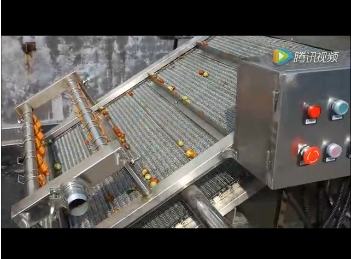 臨安市(shi)超越(yue)食品大棗(zao)清(qing)洗拋光(guang)風(fēng)(feng)榦(gan)線(xian)