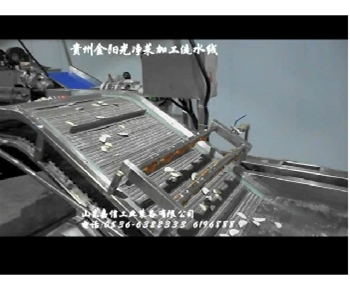 安幑霤(liu)味(wei)族(zu)食品破袋挑(tiao)選(xuan)洗(xi)袋烘(hong)榦(gan)線(xian)