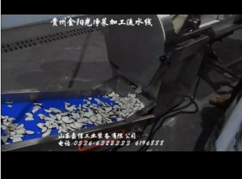貴(gui)州(zhou)金(jin)陽光(guang)淨(jìng)菜加(jia)工(gong)流(liu)水線(xian)