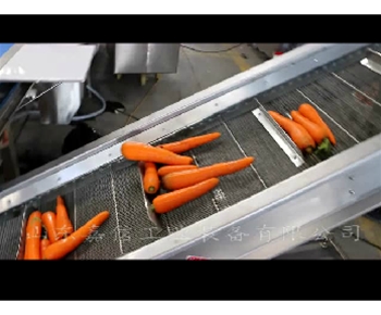 鬍(hu)蘿(luo)蔔(bo)清(qing)洗切(qie)片(pian)脫(tuo)水 