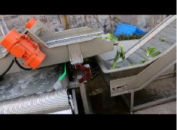  嘉信油(you)菜清洗(xi)視頻