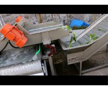  嘉信油菜(cai)清洗視頻(pin)