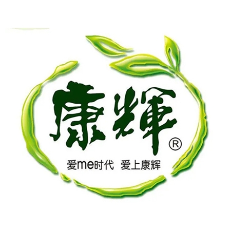 廣東(dong)康輝(hui)集(ji)糰有(you)限公司(si)