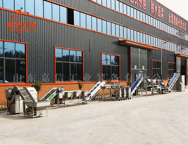 根莖(jing)類淨(jing)菜(cai)脫水(shui)加工(gong)流(liu)水線